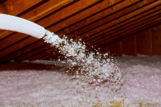 Types of Insulation We Offer in Columbus, NC