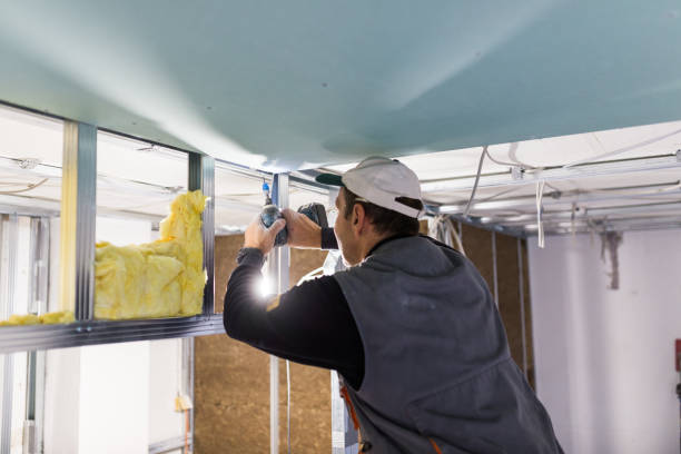 Best Residential Insulation in Columbus, NC