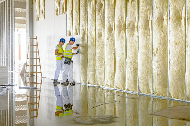 Best Blown-in Insulation in Columbus, NC
